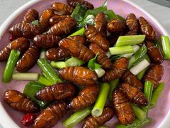 -鸿运美食府