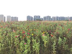 -白塘生态植物园