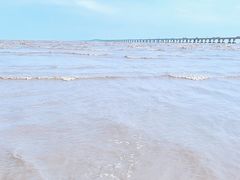 -南汇新城海滩