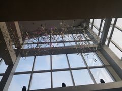 -The Penthouse酒吧