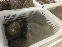 -金丹酱板鸭营业厅(紫缘路店)