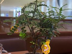-CURRY YA 熟成咖哩專門店(深圳湾万象城店)