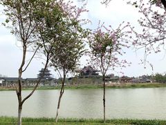 -海珠湖公园