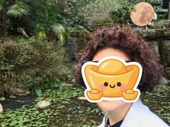 -明月山天沐温泉度假村