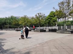 -后襄河公园