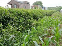 -龙湖东院农庄(乡间小路店)