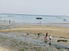 -红树林天天赶海