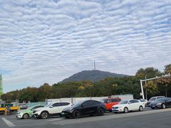 -开福禅寺