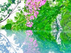 -朝阳公园