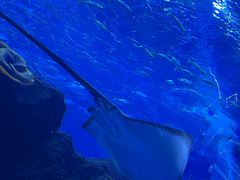 -成都浩海立方海洋公园