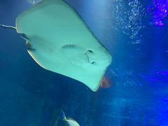 -沈阳海洋探索中心