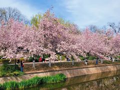 -元大都城垣遗址公园