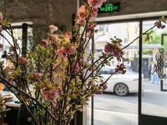 -Apollo·西班牙小酒馆(安福路店)