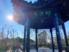 -上海滴水湖皇冠假日酒店