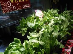 -山西会馆·晋菜·晋商宴·牌匾博物馆(胜利东街店)