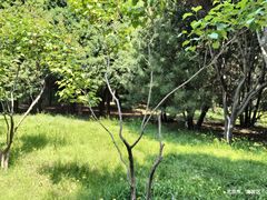 -东升八家郊野公园