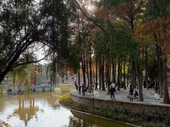-金砂公园