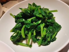 五粮液嫩豆苗-玫瑰厅上海菜(兴国路店)