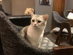 -咖法森林·咖啡  酒吧(天河店)