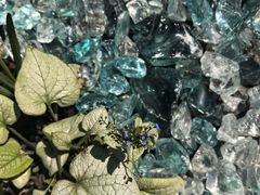 -东方体育中心(地铁站)