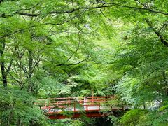 -三千院