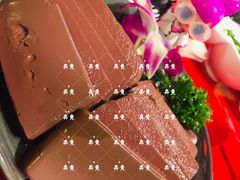 谭公鸭血-谭鸭血老火锅(漳州路店)