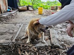 -大地农庄(逢沙大道店)