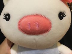 -扬州瘦西湖汇金酒店