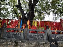 -大槐树寻根祭祖园
