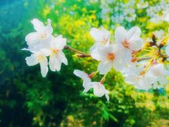 -上海市虹口区图书馆(曲阳分馆)