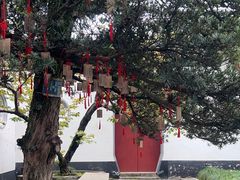 -东山雕花楼