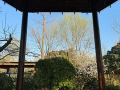 -思念果岭悦温泉