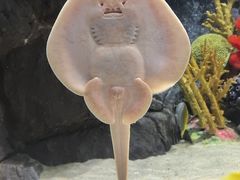 -上海海洋水族馆