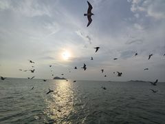 -海驴岛(荣成市)