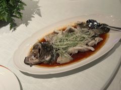 葱油蒸沙巴斑-三号黄浦会Canton Table