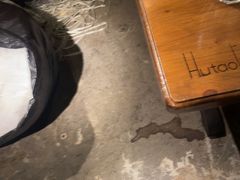 -胡桃里乐队酒馆(广州塔店)
