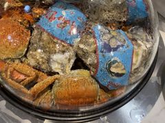 -半岛听涛蒸汽海鲜自助(K11店)