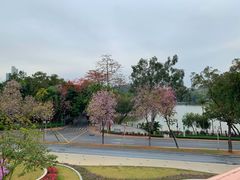 -玲又珑美食(盘福路店)