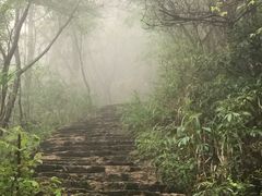-漳州云洞岩风景区-瑞竹岩