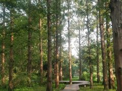 -国家植物园南园