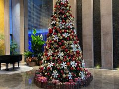 -北京朝阳悠唐皇冠假日酒店