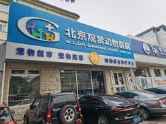 -北京观赏动物医院·24小时大型综合·猫专科·异宠专科