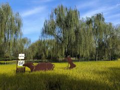 -北坞公园