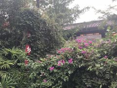 -大妙火锅·非物质文化遗产(东湖公园店)