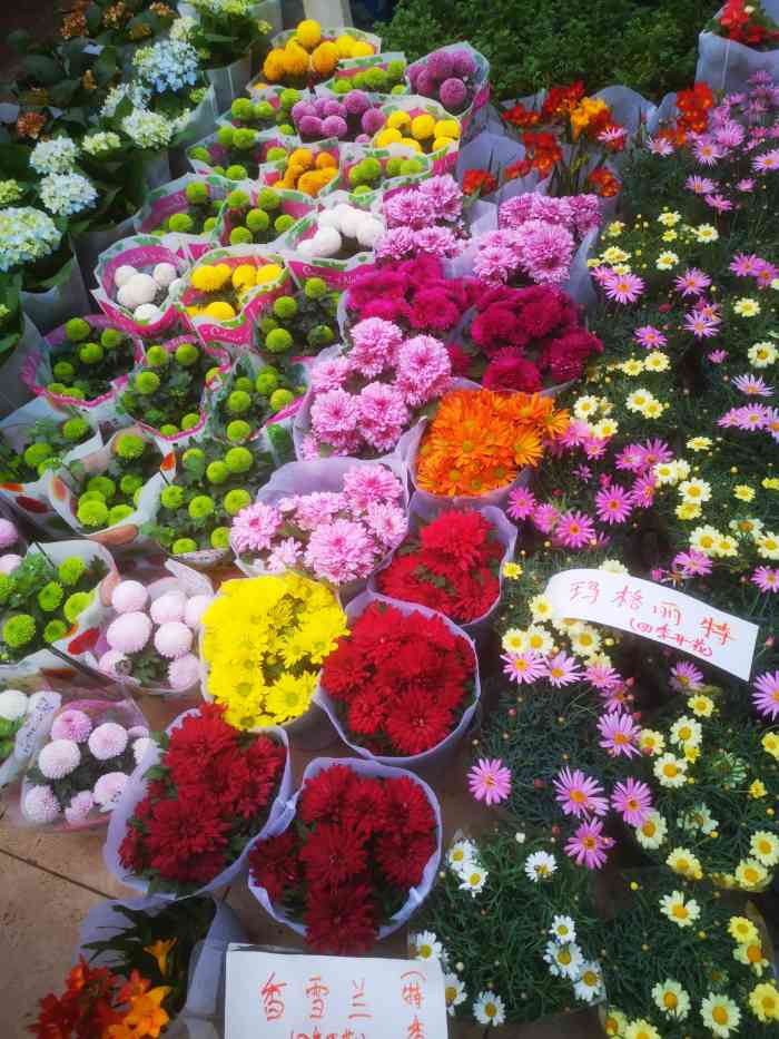 曹庄花卉市场早市图片