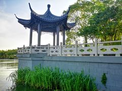 -溱湖国家湿地公园