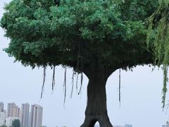 -咸阳湖景区