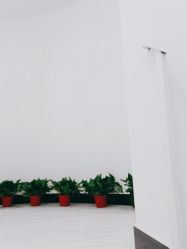 -SOR索尔祛痘·面部肌肤管理