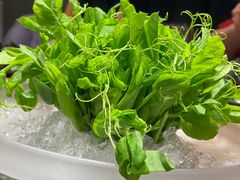 豌豆苗-王家渡火锅店(棕榈泉店)