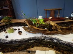 -菩提树下茶咖鼓捣